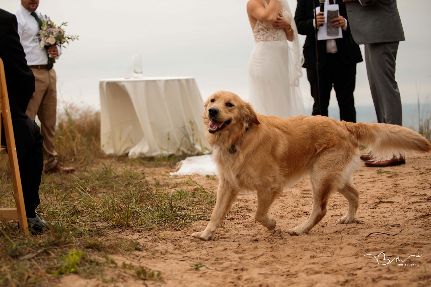 The Schweiger Wedding // Lake Bluff Preserve