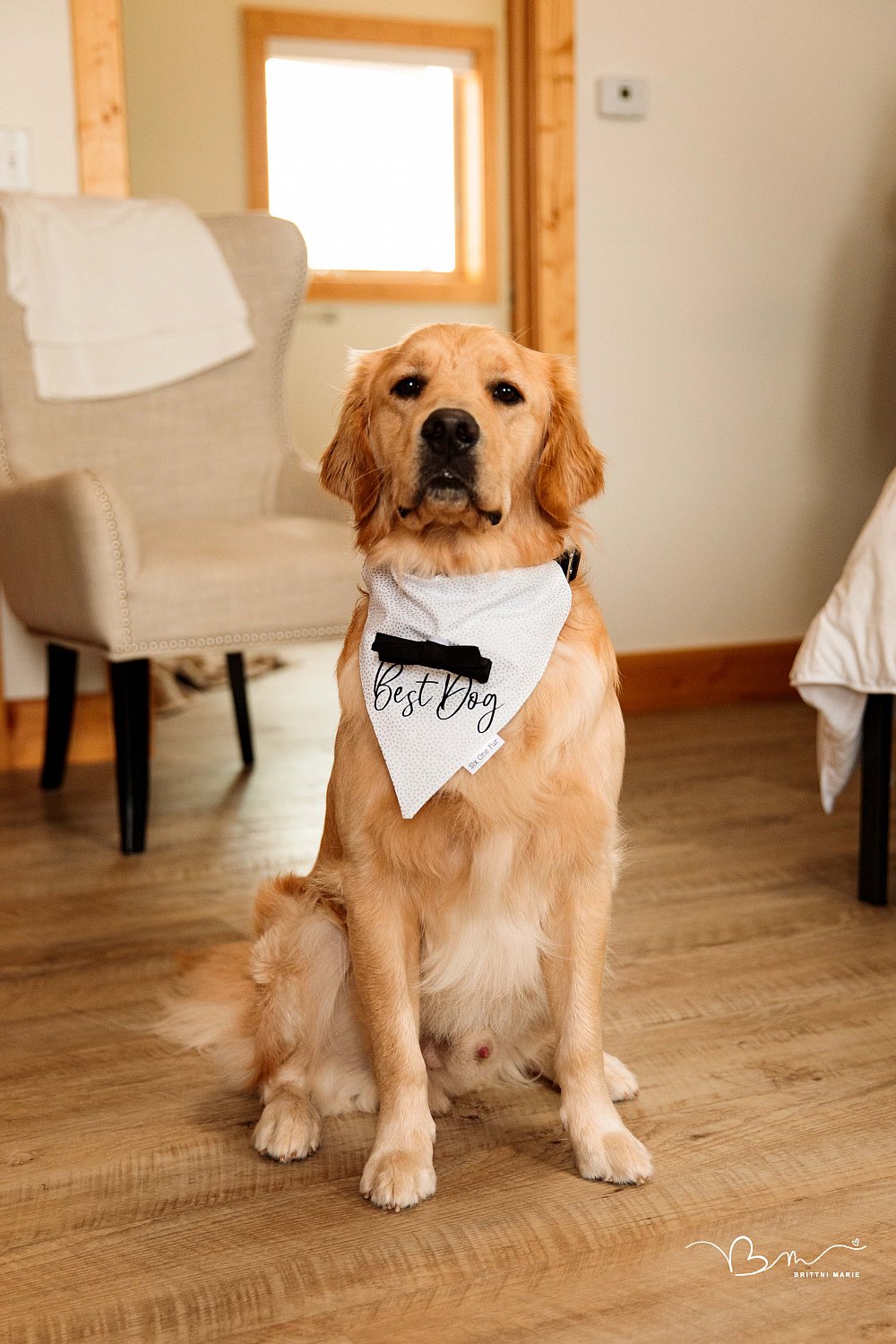 The Schweiger Wedding // Lake Bluff Preserve