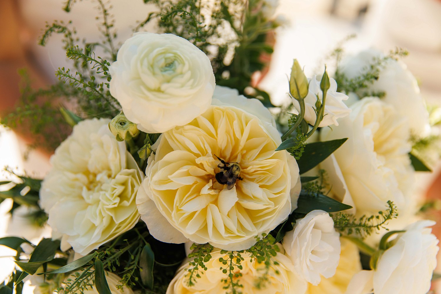 Weddings